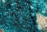 Vibrant Blue Veszelyite Cluster on Hemimorphite - Congo #206105-4